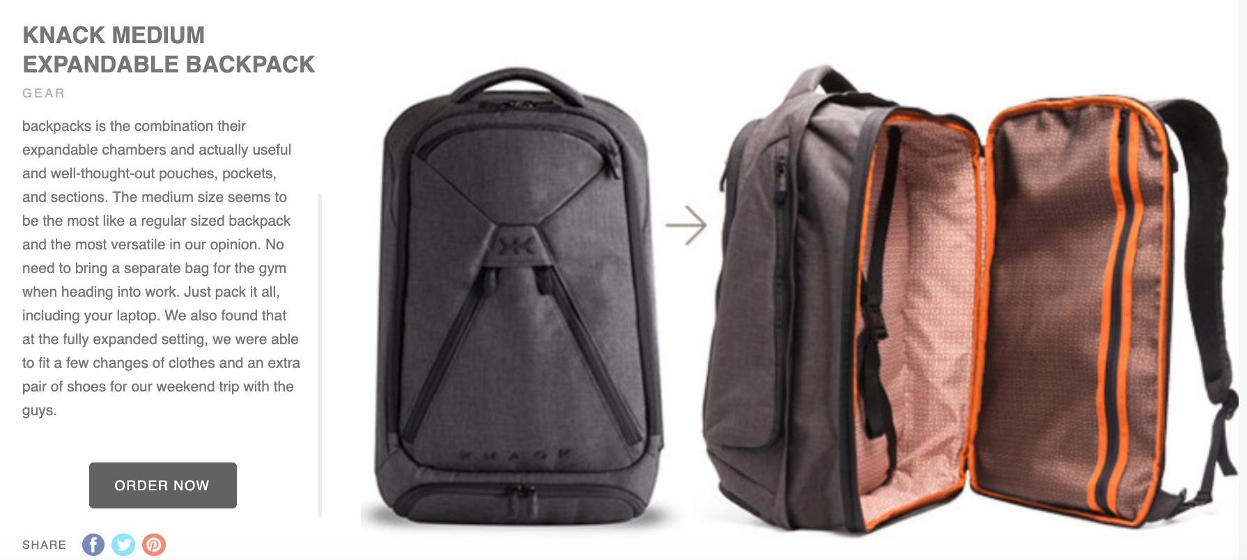 Review of Mens Professional Laptop Backpack - one bag life
