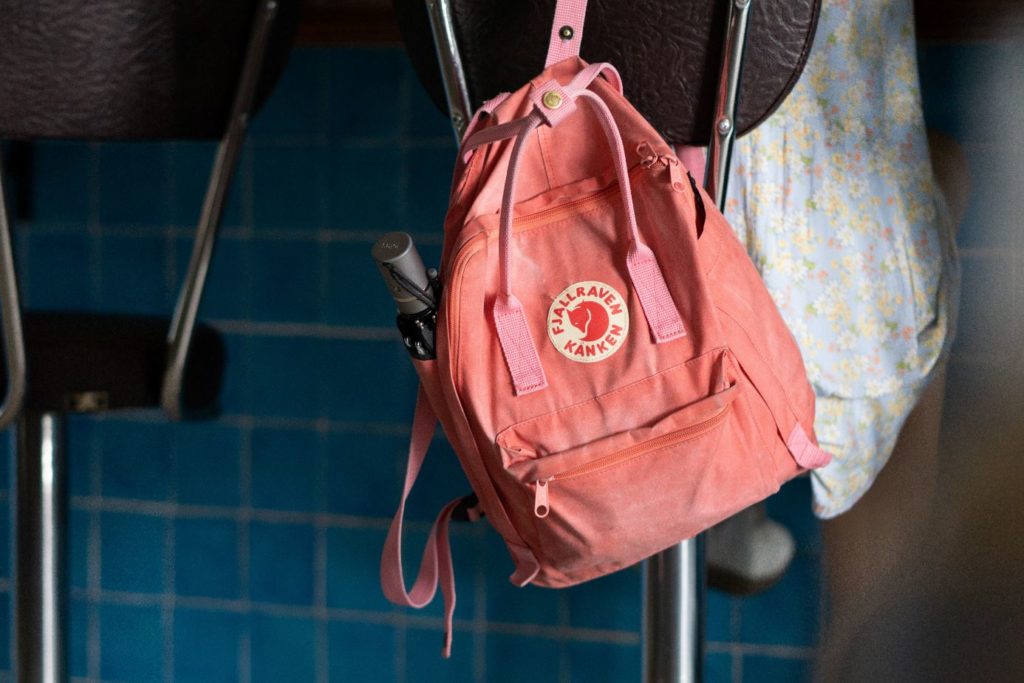 best pink backpack, list of pink backpacks