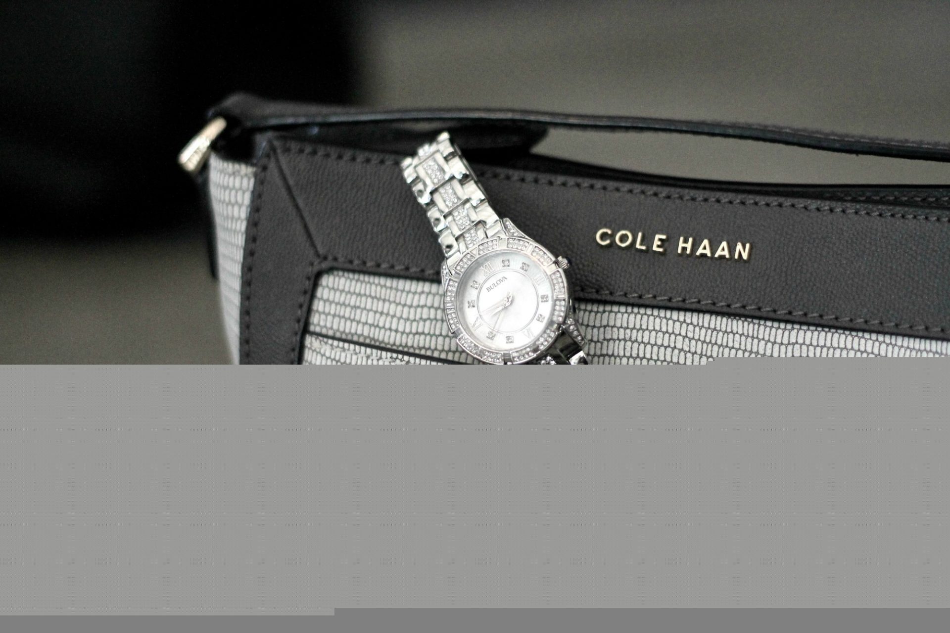 cole-haan-handbags-bulova-watch-review-1