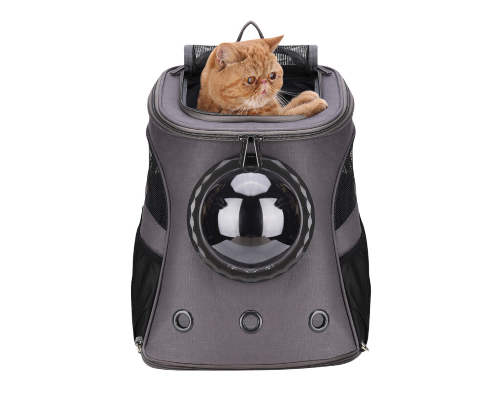 12 Cat Backpacks with Window to Transport Your Pet in Comfort and Style ...