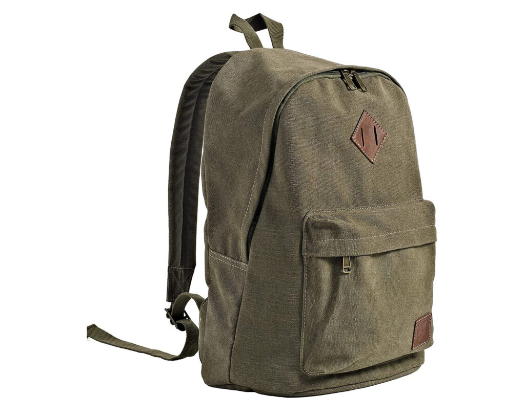 Aesthetic Backpacks: Canvas School Laptop backpack
