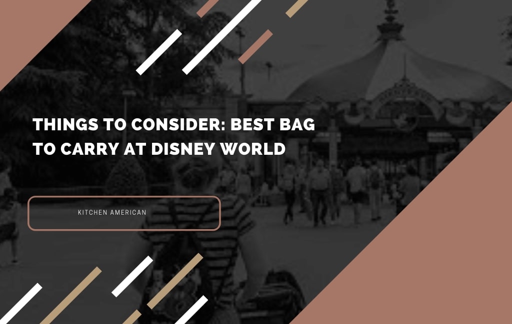 Things To Consider Before Purchase The Best Bag To Carry At Disney World