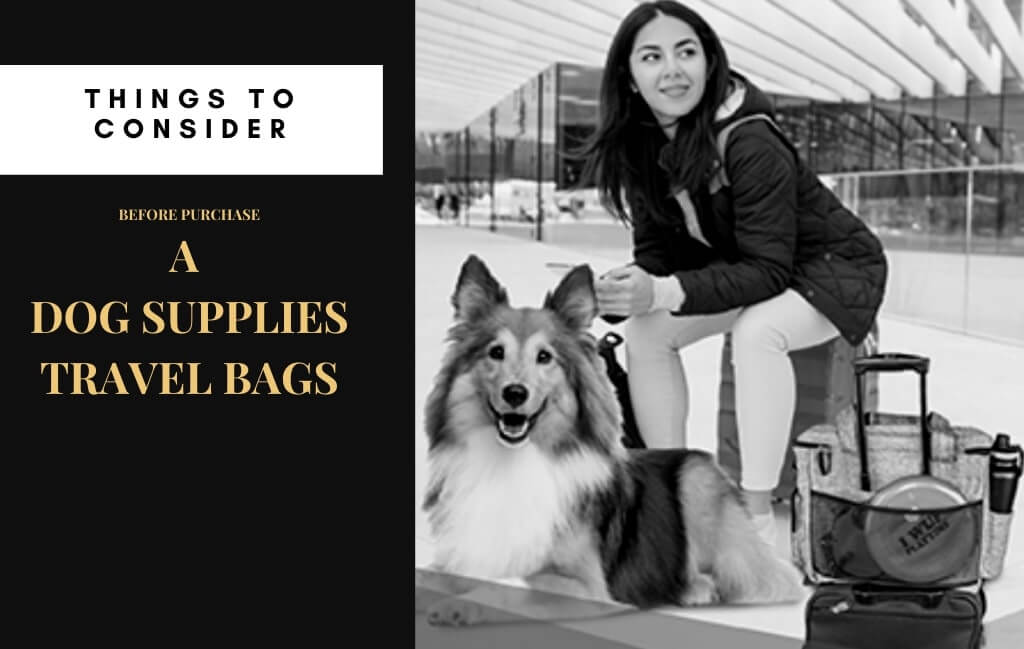 Features to Consider In the Best Dog Supplies Travel Bags