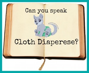 Can You Speak Cloth Diaperese?
