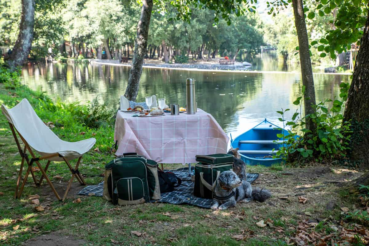 Charming picnic scene by a river with small dog sitting on a blanket. 