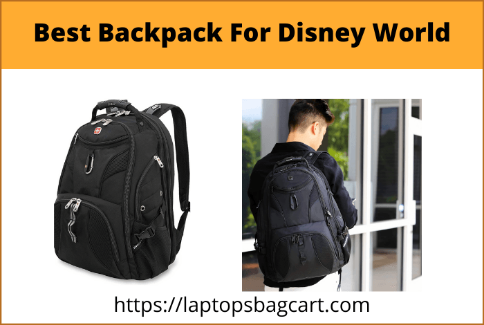Best Backpack For Disney world