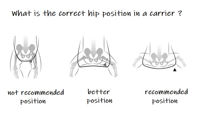 What is the correct hip position in a carrier