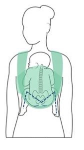 M-position in an ergonomic baby carrier