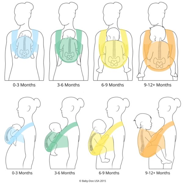 C-curved spine position in ergonomic baby carrier