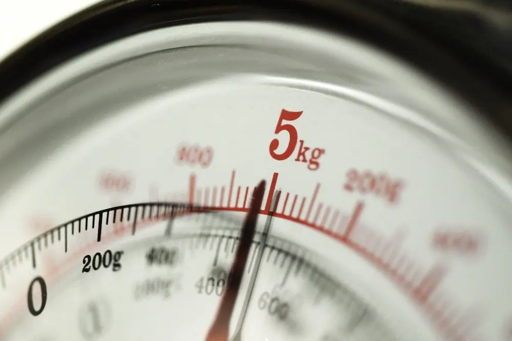 Scale - Best Luggage Scale