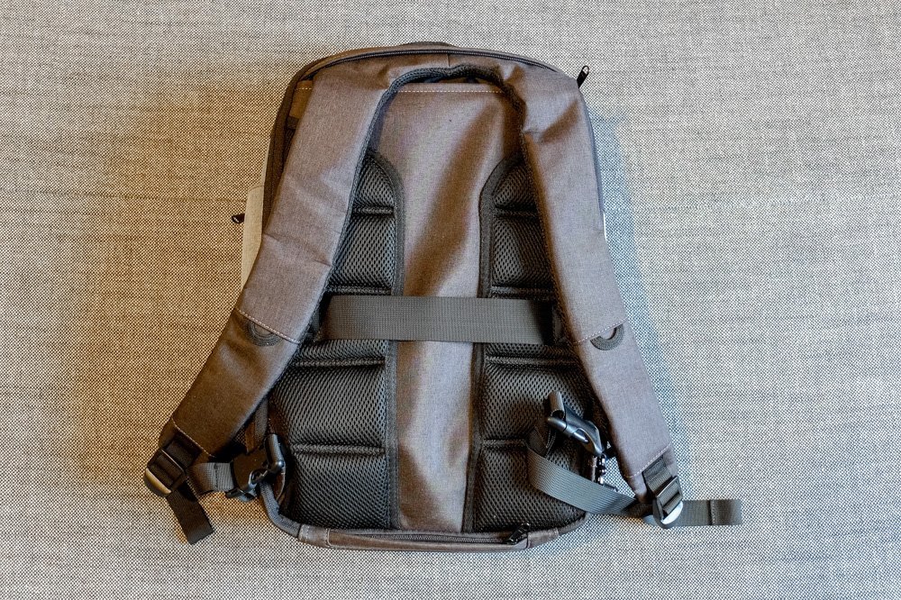 Standard Luggage Daily Backpack - from behind