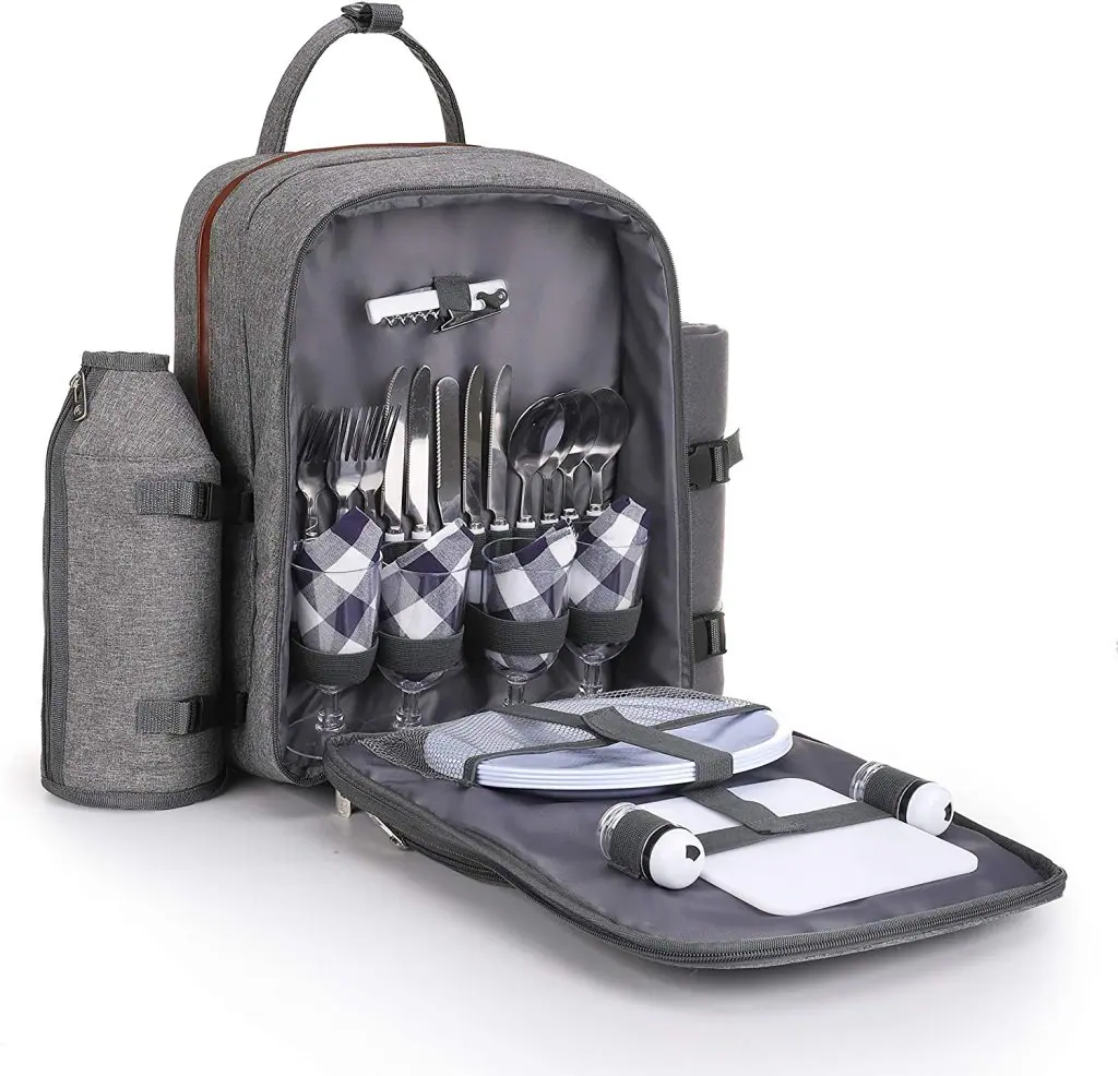 Picnic backpack for 2