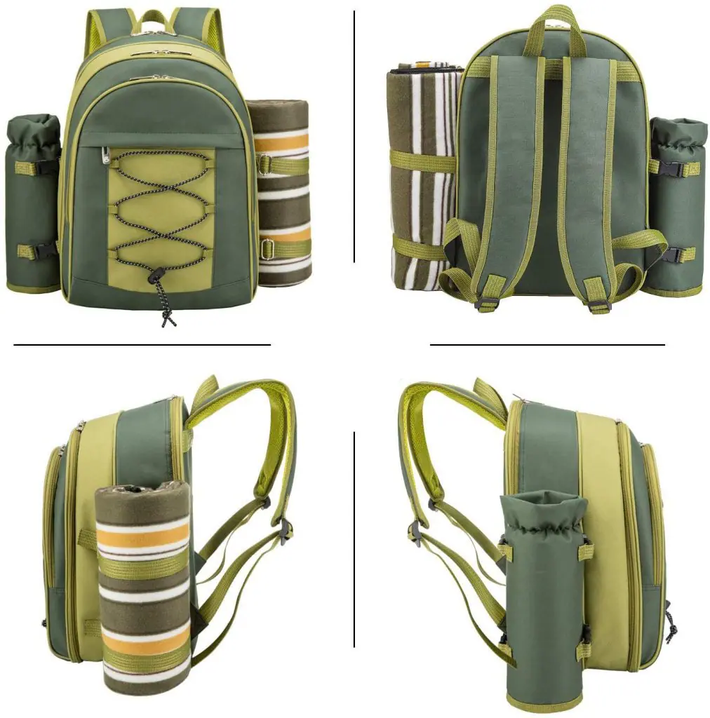 Picnic backpack for 2