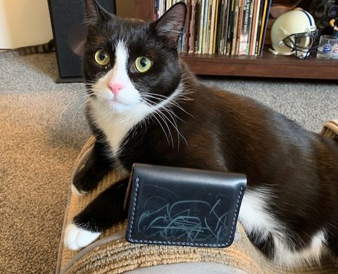 Mario the cat scratched leather wallet