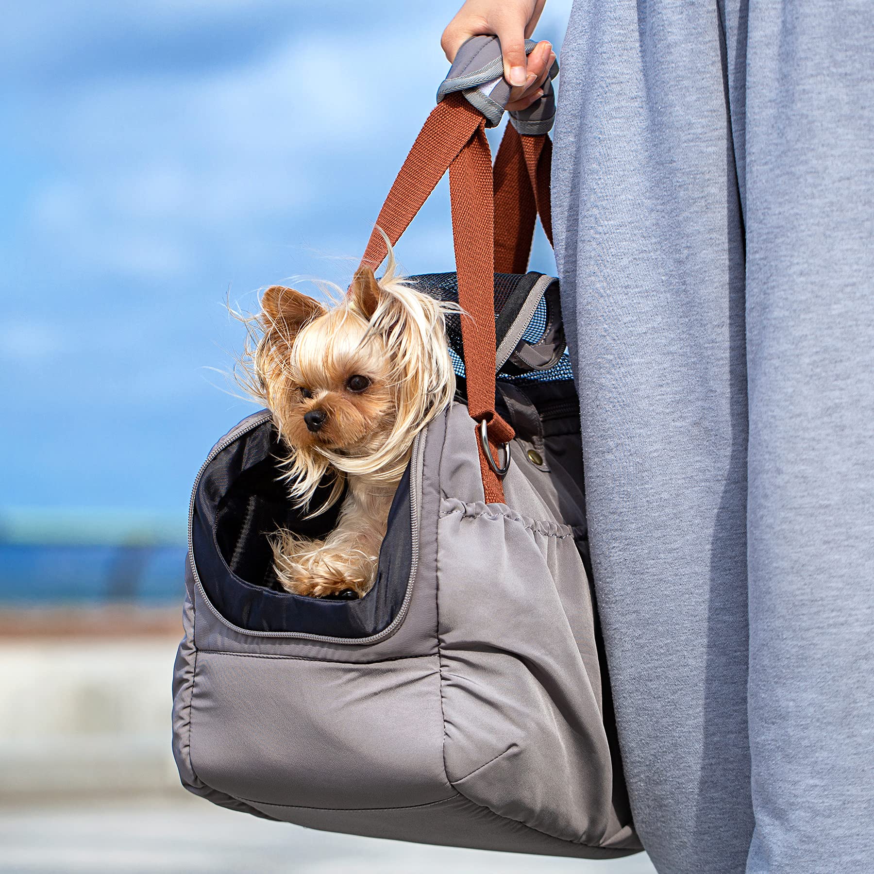 Designer Dog Bag Carrier