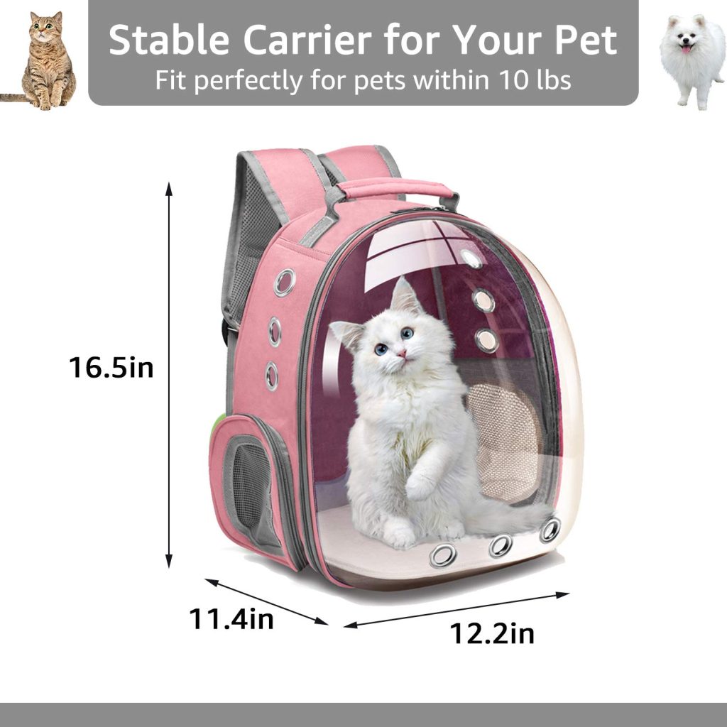 cat backpack carrier bubble