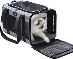 cat carrier
