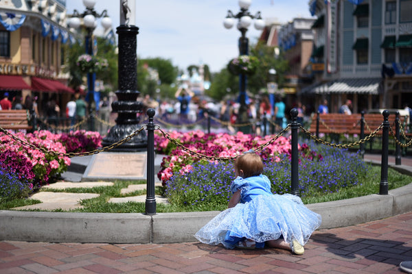 Disneyland with a one year old