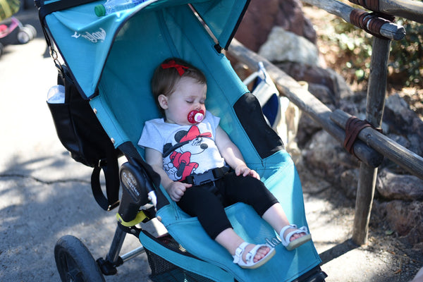 Disneyland with a one year old