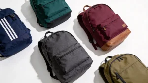 Collection of best JanSport alternative backpacks for college students in 2026