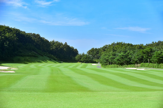 Beautiful golf course fairway in Canada with lush green landscape for Canadian golf bag market
