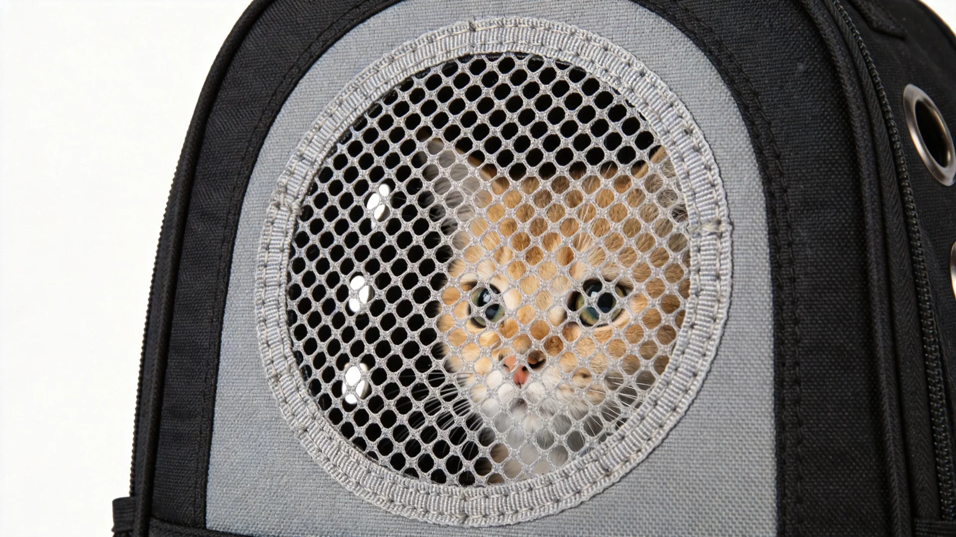 Close-up of ventilation mesh panel design on a pet carrier backpack showing breathable honeycomb mesh