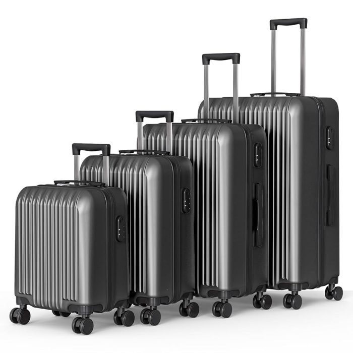 Fridtrip Hardside Luggage Set