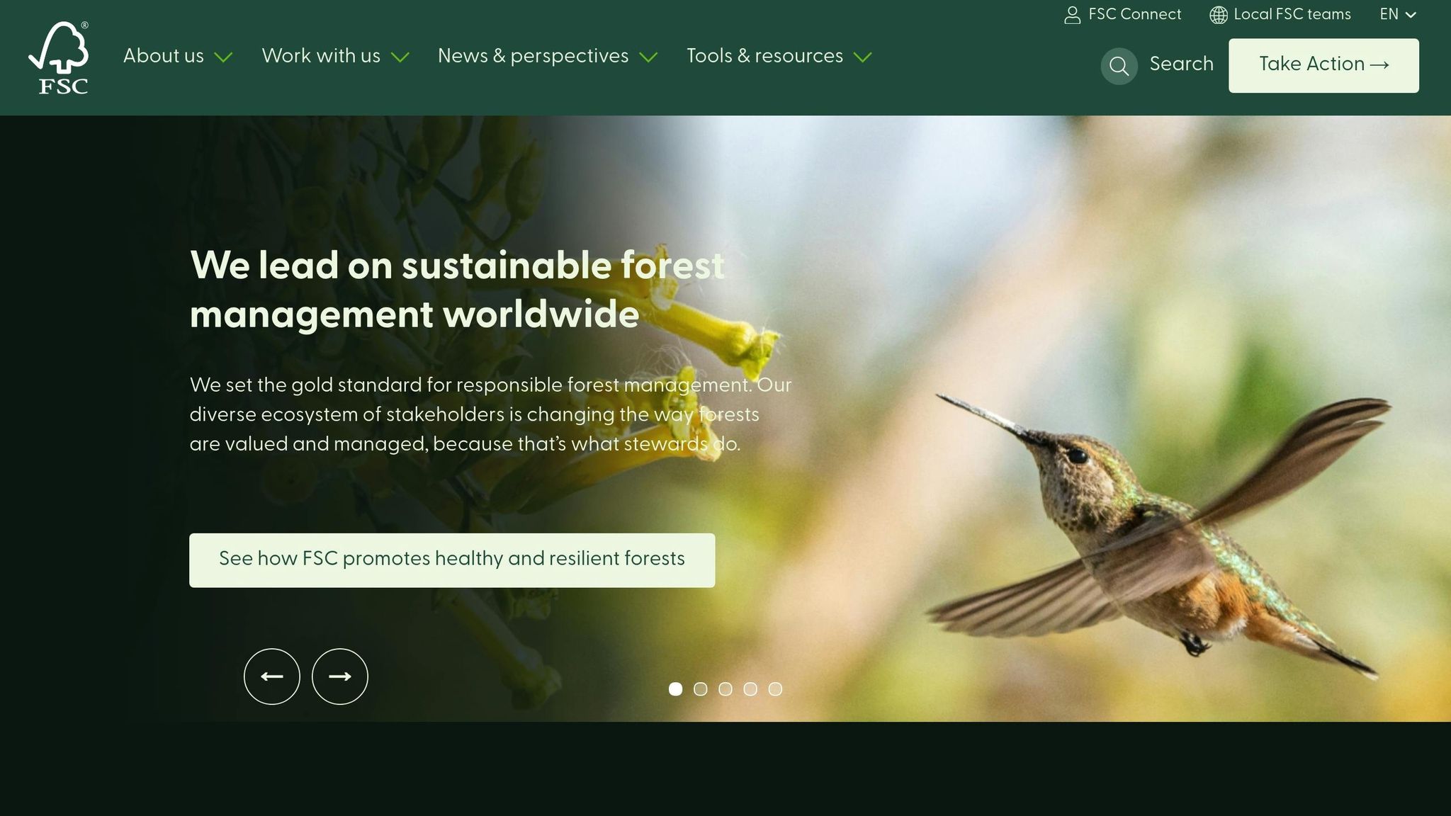 Forest Stewardship Council